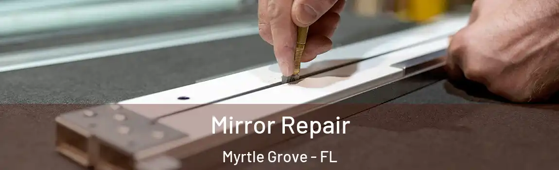  Mirror Repair Myrtle Grove - FL