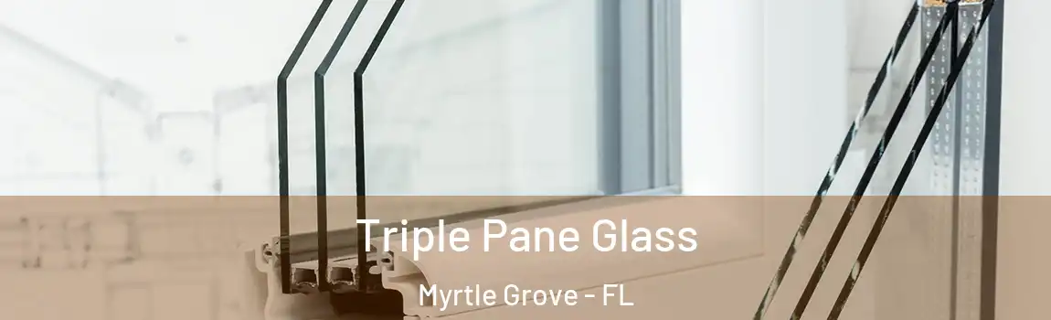  Triple Pane Glass Myrtle Grove - FL