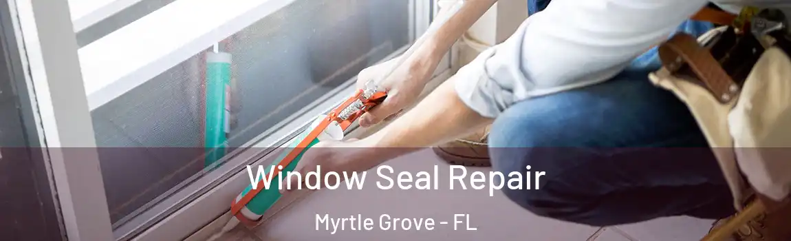  Window Seal Repair Myrtle Grove - FL